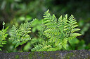 BUITEN BEELD Foto: 448349
