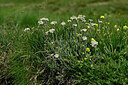 BUITEN BEELD Foto: 448351