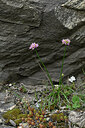 BUITEN BEELD Foto: 448353