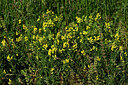 BUITEN BEELD Foto: 448355