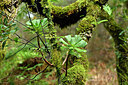 BUITEN BEELD Foto: 448363