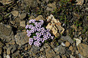 BUITEN BEELD Foto: 448366