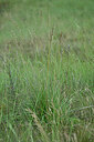 BUITEN BEELD Foto: 448367