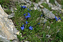 BUITEN BEELD Foto: 448372
