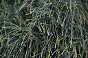 BUITEN BEELD Foto: 448375