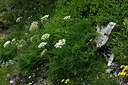 BUITEN BEELD Foto: 448376
