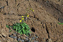 BUITEN BEELD Foto: 448380