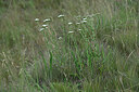 BUITEN BEELD Foto: 448381