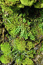 BUITEN BEELD Foto: 448382