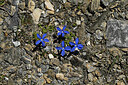 BUITEN BEELD Foto: 448384