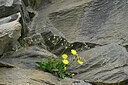 BUITEN BEELD Foto: 448385