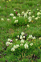 BUITEN BEELD Foto: 448386