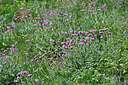 BUITEN BEELD Foto: 448393