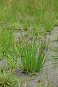 BUITEN BEELD Foto: 448398