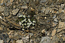BUITEN BEELD Foto: 448399
