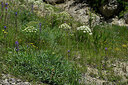 BUITEN BEELD Foto: 448401