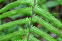 BUITEN BEELD Foto: 448402