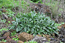 BUITEN BEELD Foto: 448403