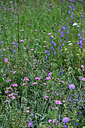 BUITEN BEELD Foto: 448405