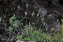BUITEN BEELD Foto: 448411