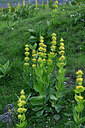BUITEN BEELD Foto: 448413