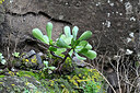 BUITEN BEELD Foto: 448417