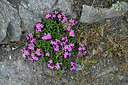 BUITEN BEELD Foto: 448420