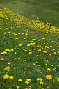 BUITEN BEELD Foto: 448421