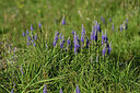 BUITEN BEELD Foto: 448425