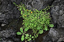 BUITEN BEELD Foto: 448426