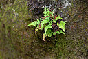 BUITEN BEELD Foto: 448428