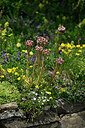 BUITEN BEELD Foto: 448432