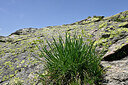 BUITEN BEELD Foto: 448436