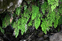 BUITEN BEELD Foto: 448437