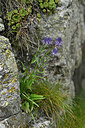 BUITEN BEELD Foto: 448438