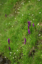BUITEN BEELD Foto: 448441