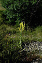 BUITEN BEELD Foto: 448442