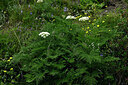 BUITEN BEELD Foto: 448443