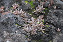 BUITEN BEELD Foto: 448445