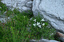 BUITEN BEELD Foto: 448447