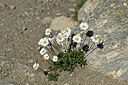 BUITEN BEELD Foto: 448448