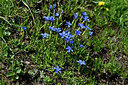 BUITEN BEELD Foto: 448452