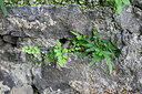 BUITEN BEELD Foto: 448456