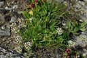 BUITEN BEELD Foto: 448461