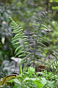 BUITEN BEELD Foto: 448463