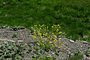 BUITEN BEELD Foto: 448464