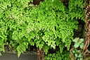 BUITEN BEELD Foto: 448465