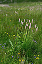 BUITEN BEELD Foto: 448473