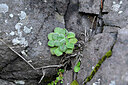 BUITEN BEELD Foto: 448478