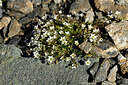 BUITEN BEELD Foto: 448479